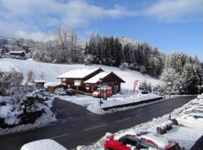 Appartement au cœur du domaine du grand massif